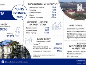 Infografika, która prezentuje podstawowe informacje dotyczące miasta Łomży w 2024 roku
