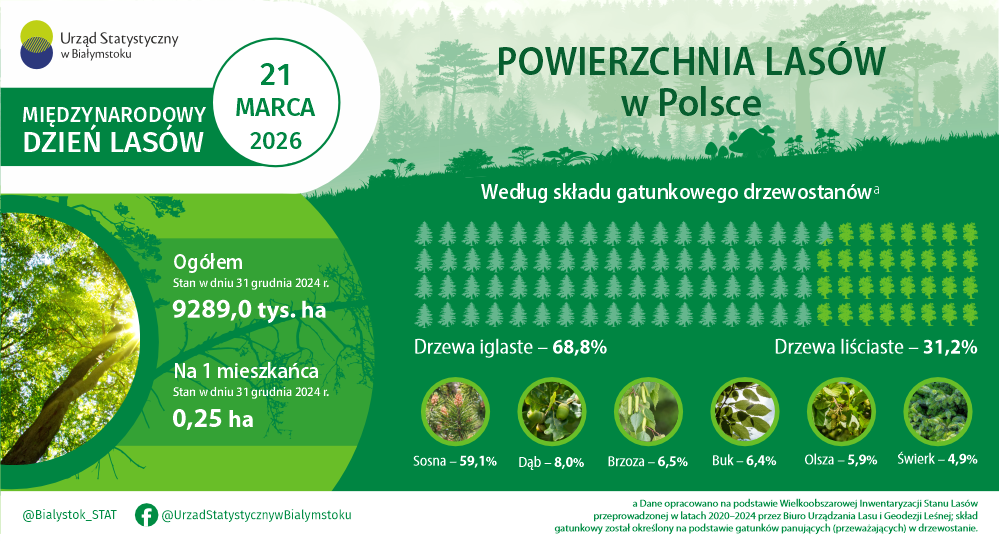 Infografika, która prezentuje podstawowe dane dotyczące lasów w Polsce 