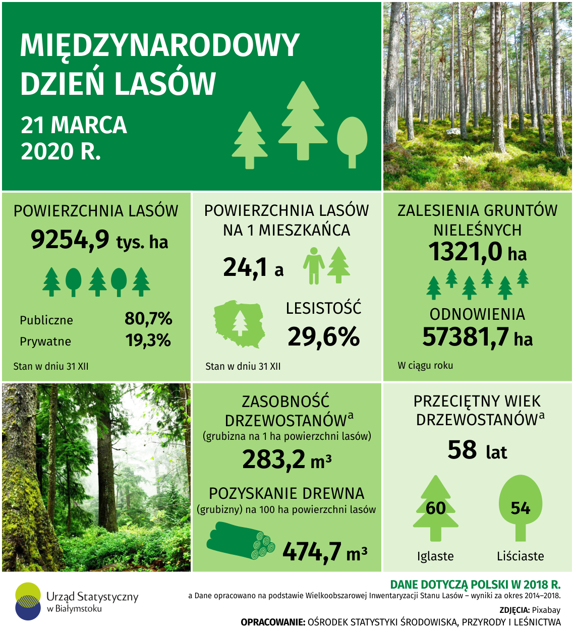 Infografika Międzynarodowy Dzień Lasów 21 marca 2020 r.