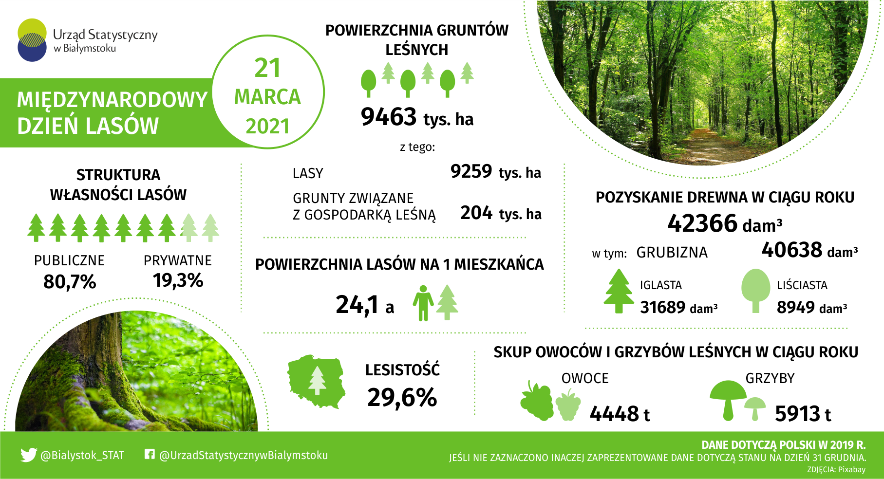 Infografika Międzynarodowy Dzień Lasów 21 marca 2021 r.