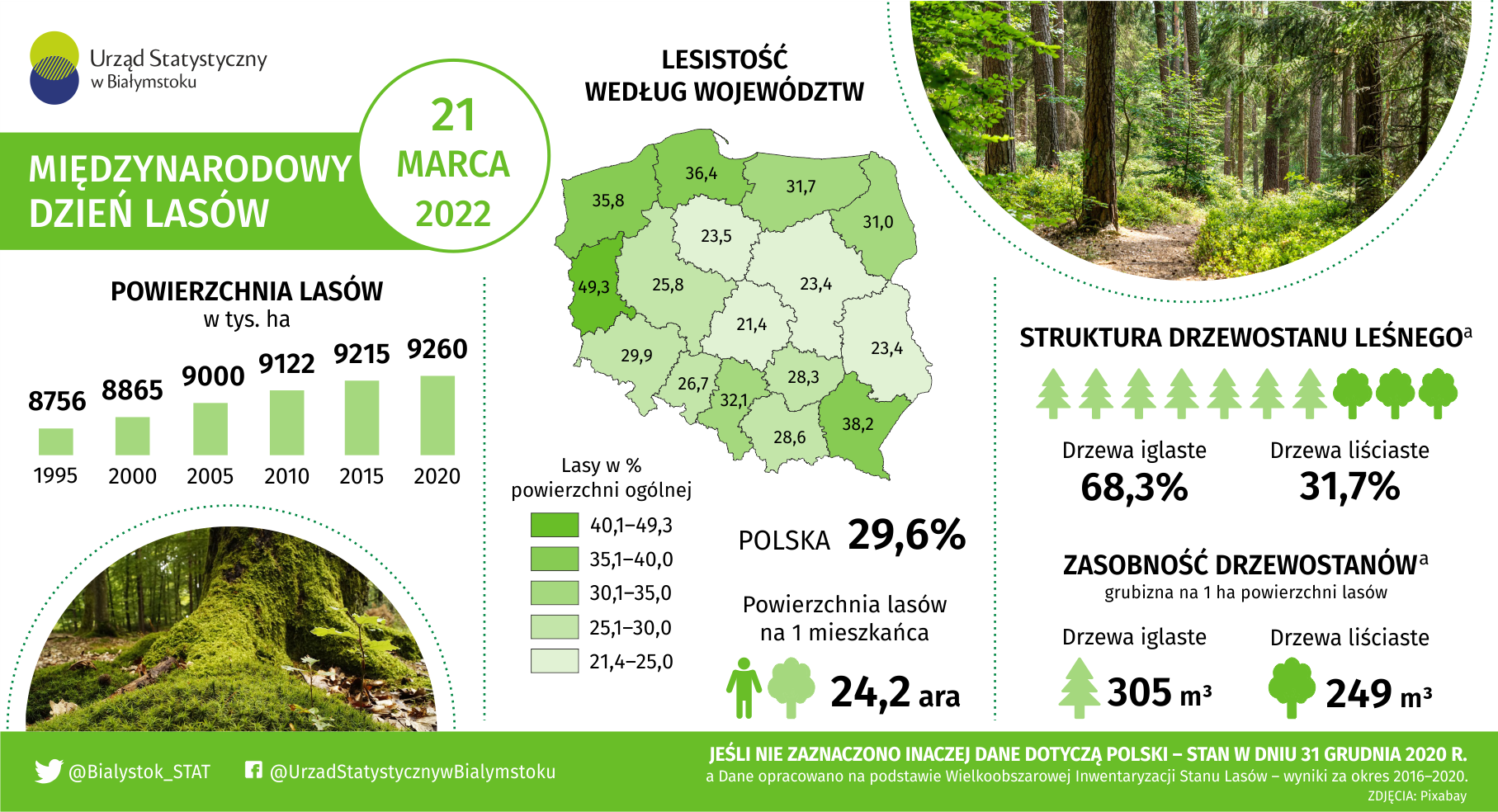 Infografika Międzynarodowy Dzień Lasów 21 marca 2022 r.