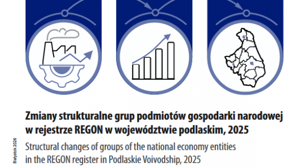 Cover of publication Structural changes of groups of the national economy entities in the REGON register