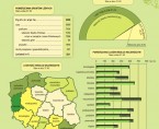 Infografika - Lasy w Polsce w 2009 r. Foto