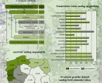 Infografika - Lasy w Polsce w 2013 r. Foto