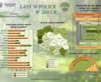 Infografika - Lasy w Polsce w 2015 r. Foto