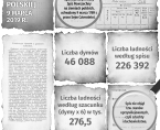 Infografika - Dzień Statystyki Polskiej - 9 marca Foto
