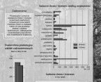 Infografika - Zadrzewienia w Polsce w 2013 r. Foto