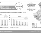 Infografika - Międzynarodowy Dzień Osób z Niepełnosprawnościami - 3 grudnia Foto