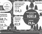 Infografika - Międzynarodowy Dzień Lasów - 21 marca Foto