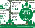 Infografika - Międzynarodowy Dzień Lasów - 21 marca Foto