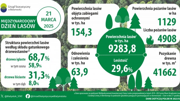 Infografika - Międzynarodowy Dzień Lasów - 21 marca