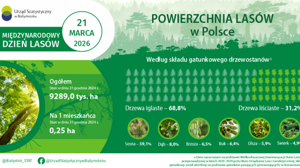 Infografika, która prezentuje podstawowe dane dotyczące lasów w Polsce