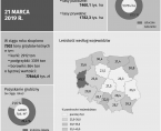 Infografika - Międzynarodowy Dzień Lasów - 21 marca Foto