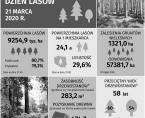 Infografika - Międzynarodowy Dzień Lasów - 21 marca Foto