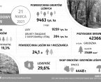 Infografika - Międzynarodowy Dzień Lasów - 21 marca Foto