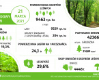 Infografika - Międzynarodowy Dzień Lasów - 21 marca Foto