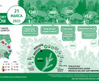 Infografika - Międzynarodowy Dzień Lasów - 21 marca Foto