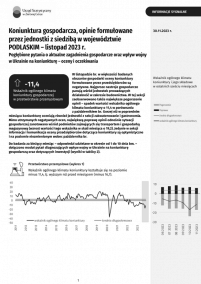 Pierwsza strona publikacji Koniunktura gospodarcza w województwie podlaskim w listopadzie 2023 r.