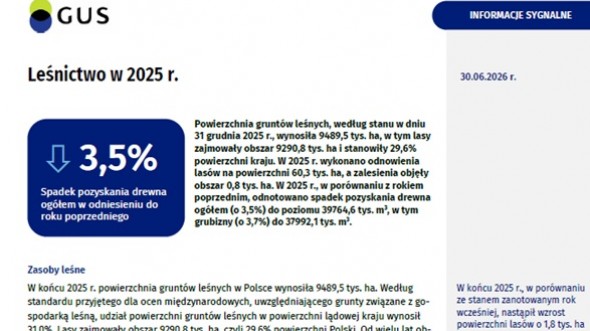 Pierwsza strona opracowania Leśnictwo w 2025 r.