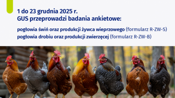 Grafika, która informuje o trwających badaniach statystycznych z zakresu rolnictwa